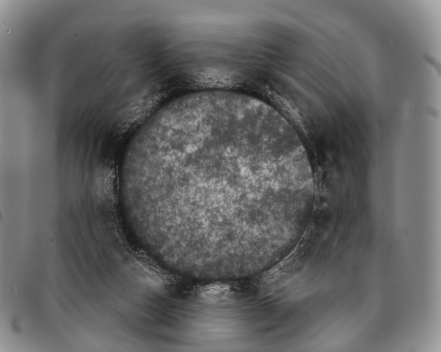 X0000096720162200803041409