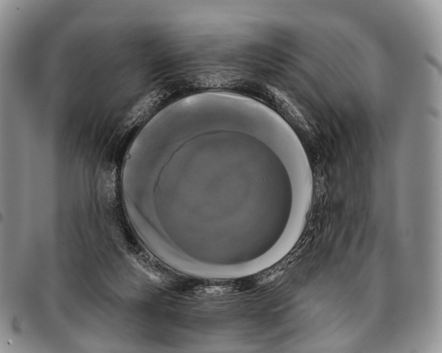 X0000096720163200803041409