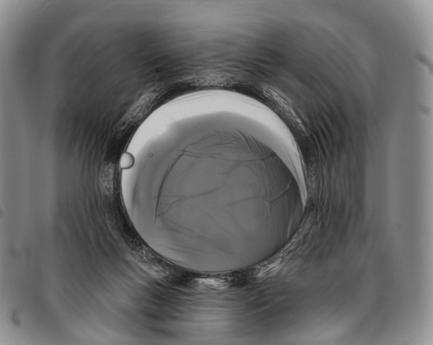 X0000096720167200803041409