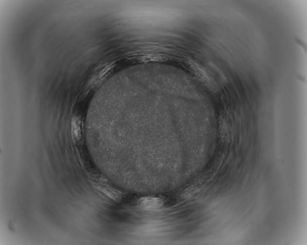 X0000096720169200803041409