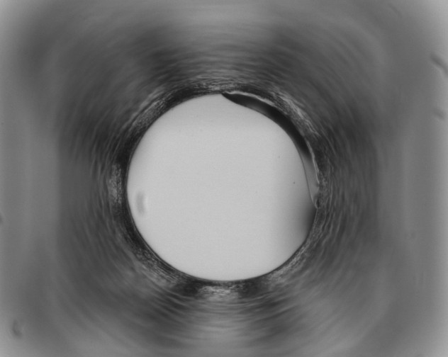 X0000096720170200803041409