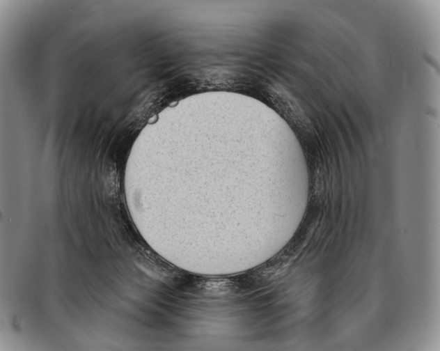 X0000096720173200803041409