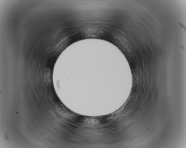 X0000096720174200803041409