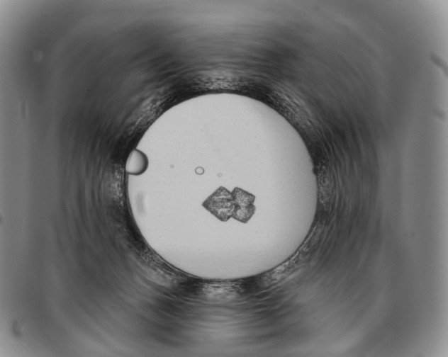 X0000096720175200803041409