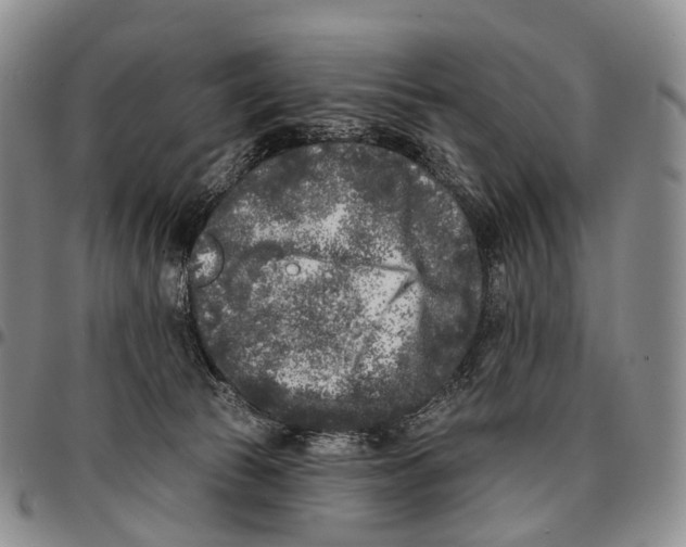 X0000096720177200803041409