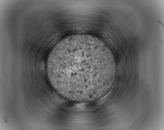 X0000096720178200803041409