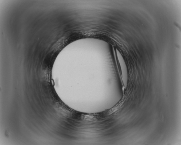 X0000096720180200803041409