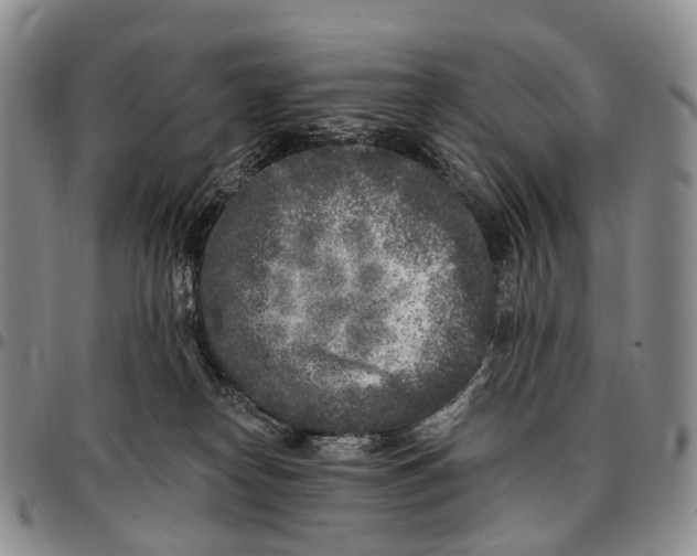 X0000096720182200803041409