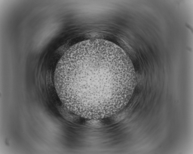 X0000096720189200803041409