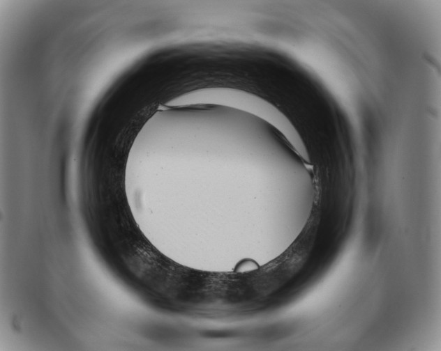 X0000096720190200803041409