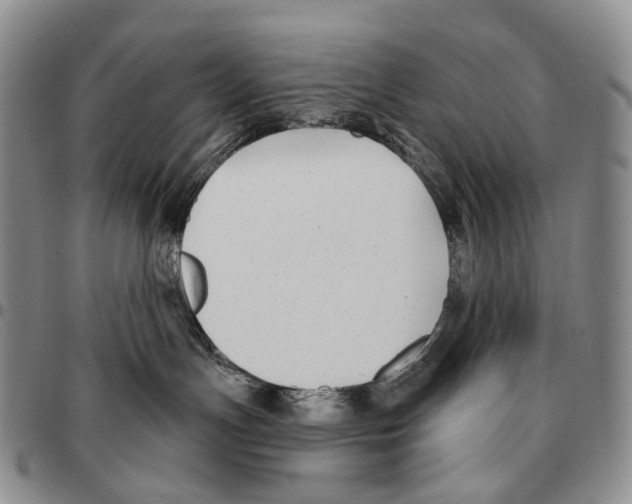 X0000096720191200803041409