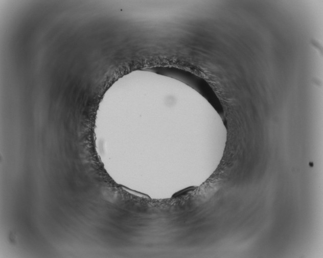 X0000096720192200803041409