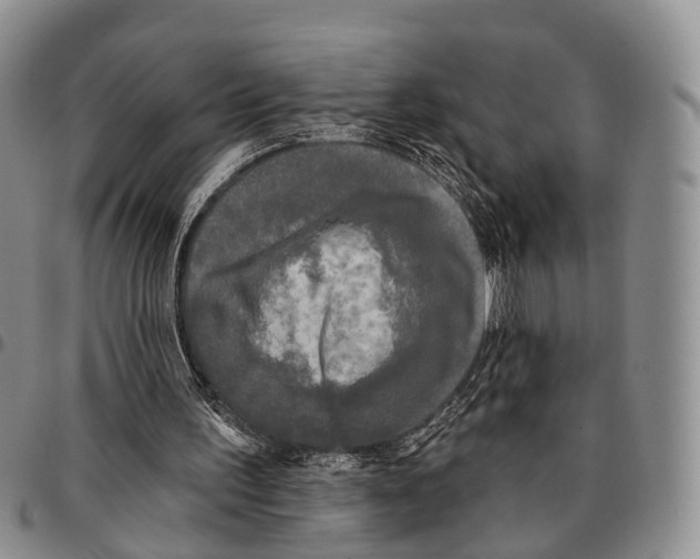 X0000096720195200803041409