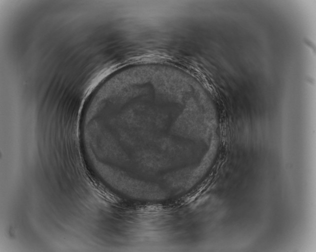 X0000096720196200803041409