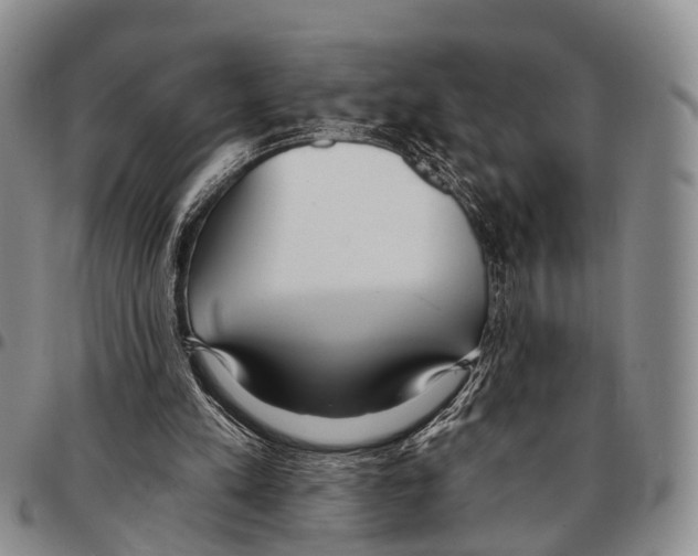 X0000096720197200803041409