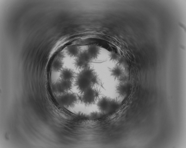 X0000096720198200803041409