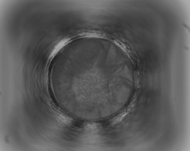 X0000096720199200803041409