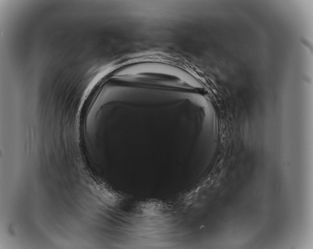 X0000096720200200803041409