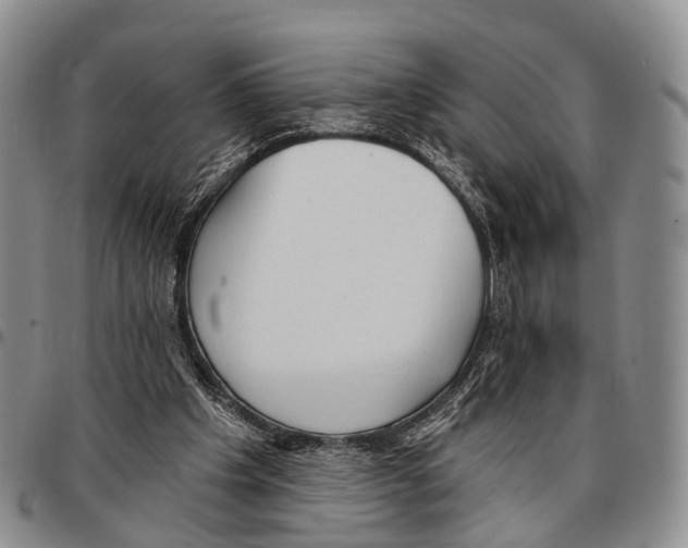 X0000096720201200803041408