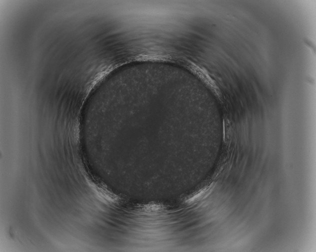 X0000096720204200803041408