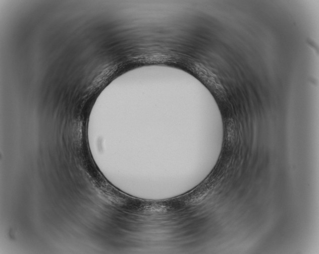 X0000096720206200803041408