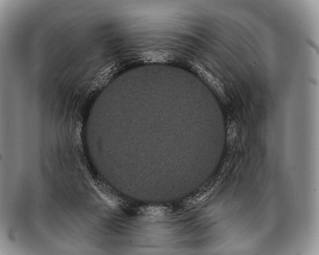 X0000096720209200803041408