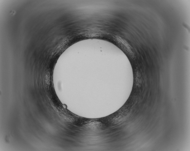 X0000096720210200803041408