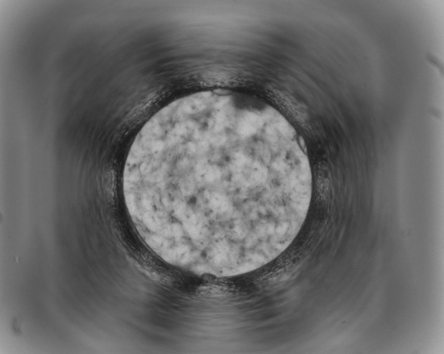 X0000096720211200803041408