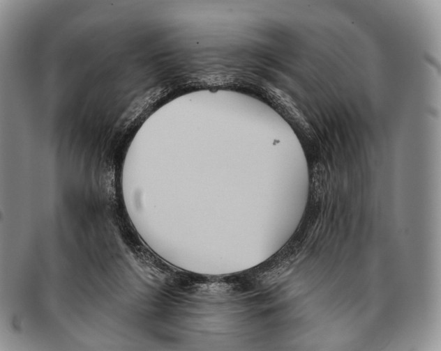 X0000096720212200803041408