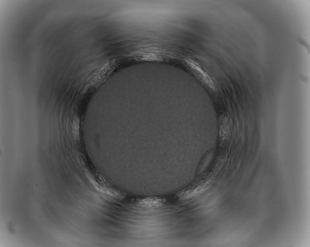 X0000096720213200803041408