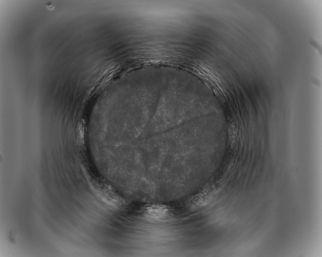 X0000096720214200803041408