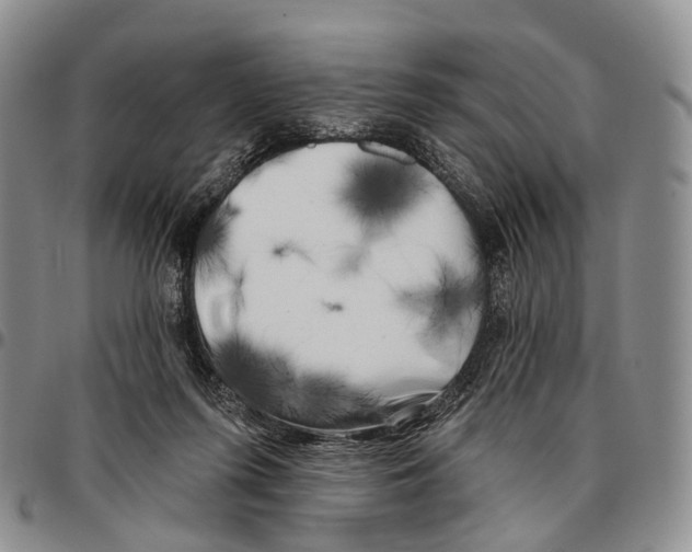 X0000096720215200803041408