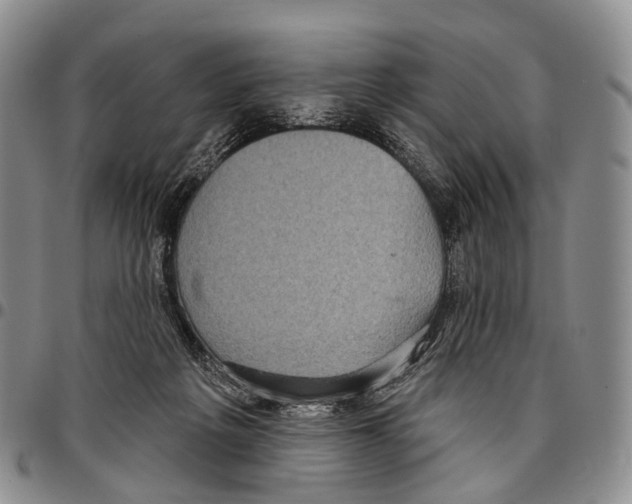 X0000096720217200803041408