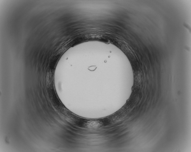 X0000096720218200803041408