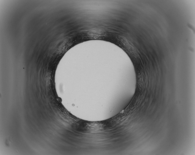 X0000096720221200803041408