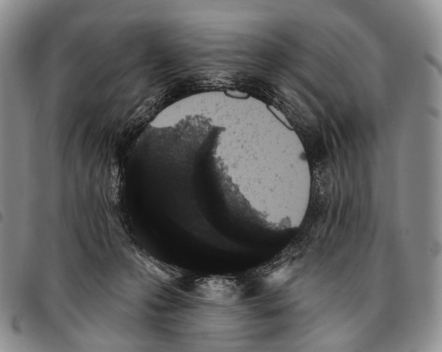 X0000096720223200803041408