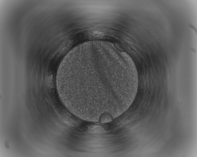 X0000096720224200803041408