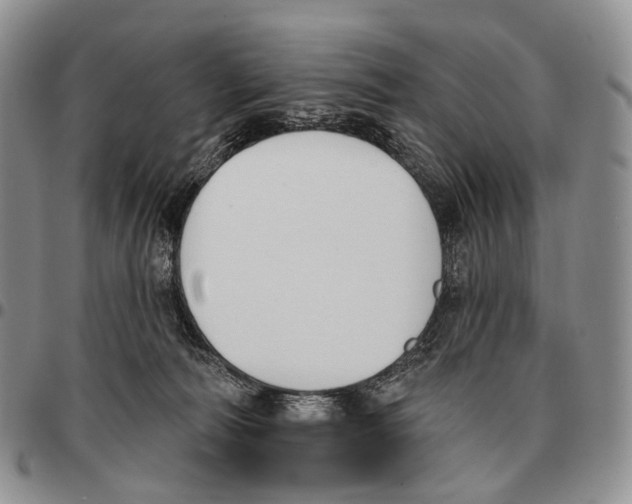 X0000096720226200803041408