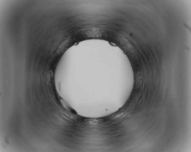 X0000096720229200803041408