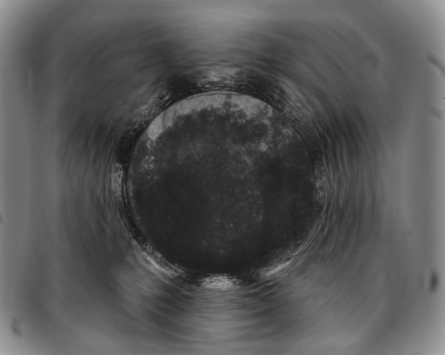 X0000096720231200803041408