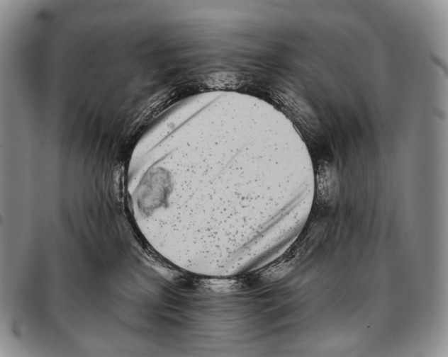 X0000096720233200803041408