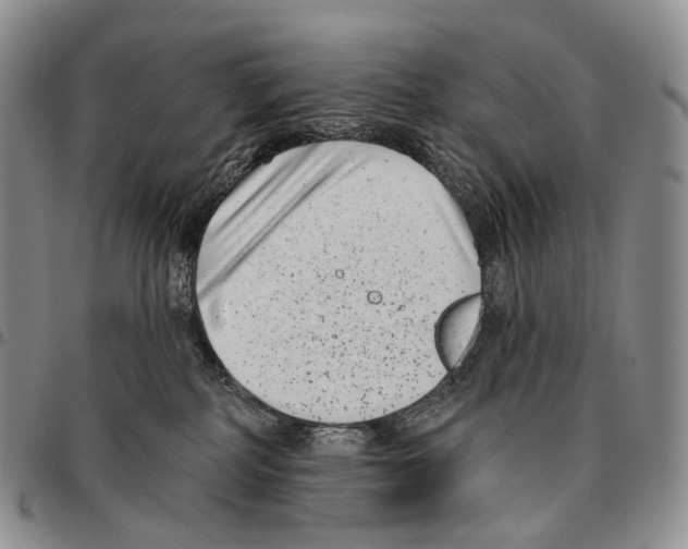 X0000096720234200803041408