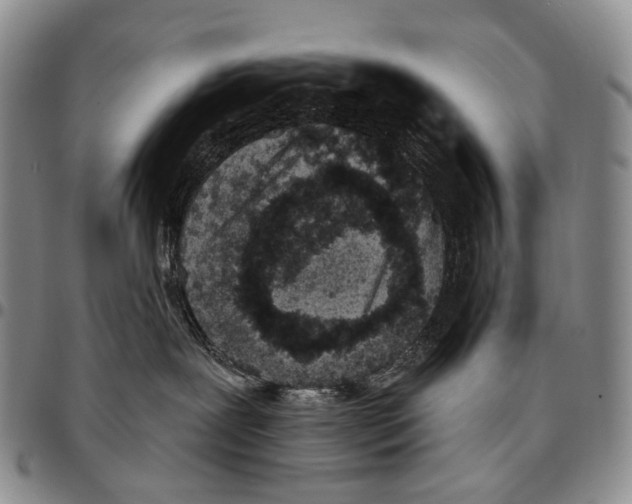 X0000096720239200803041408