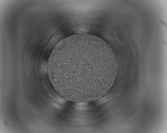 X0000096720240200803041408