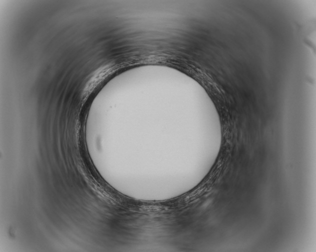 X0000096720242200803041407