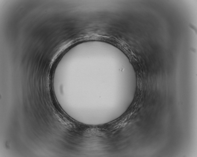 X0000096720244200803041407