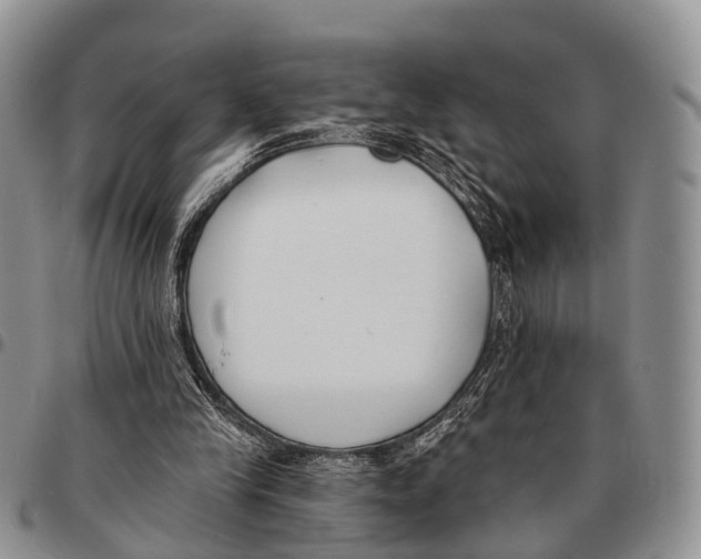 X0000096720245200803041407