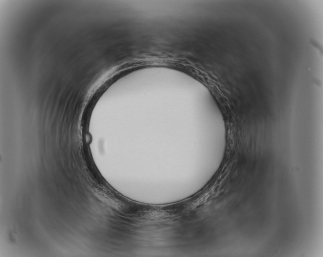 X0000096720246200803041407