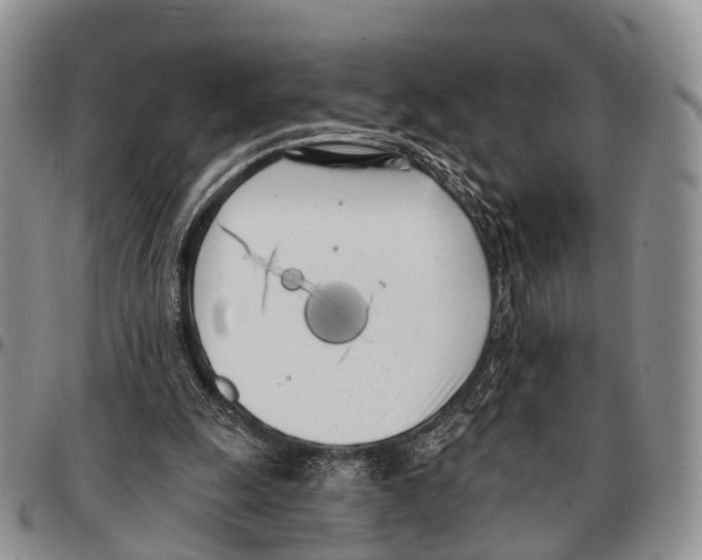 X0000096720247200803041407