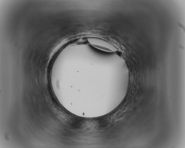 X0000096720248200803041407